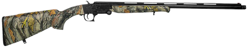 294551700.png