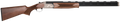 294551702.png