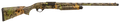 294551716.png