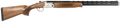 294551718.png
