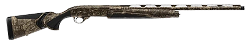 294551736.png