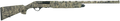 294551746.png