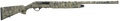 294551749.png