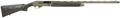 294551756.png