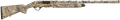 294551757.png