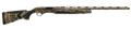 294551774.png