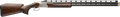 294551776.png