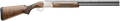 294551809.png