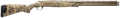 294551811.png