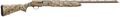 294551814.png