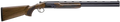 294551829.png