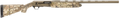 294551849.png