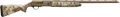 294551853.png