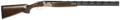 294551862.png