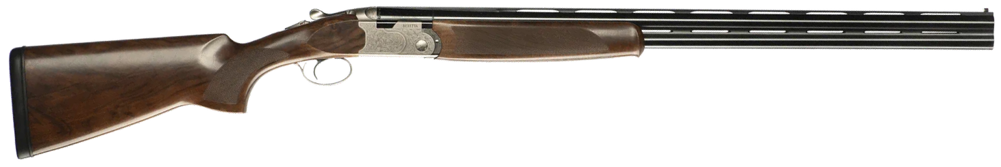 294551862.png