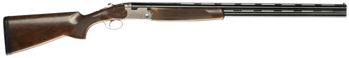 294551862.png