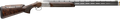 294551863.png
