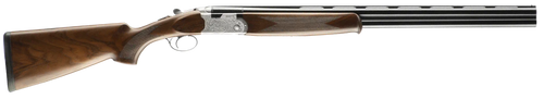 294551864.png