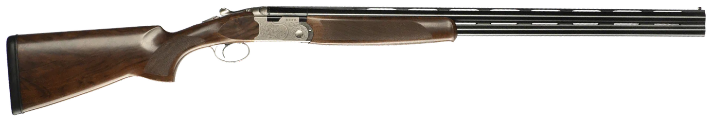 294551866.png