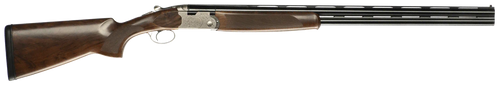 294551866.png