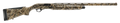 294551868.png