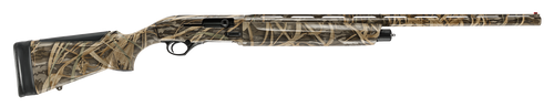 294551868.png