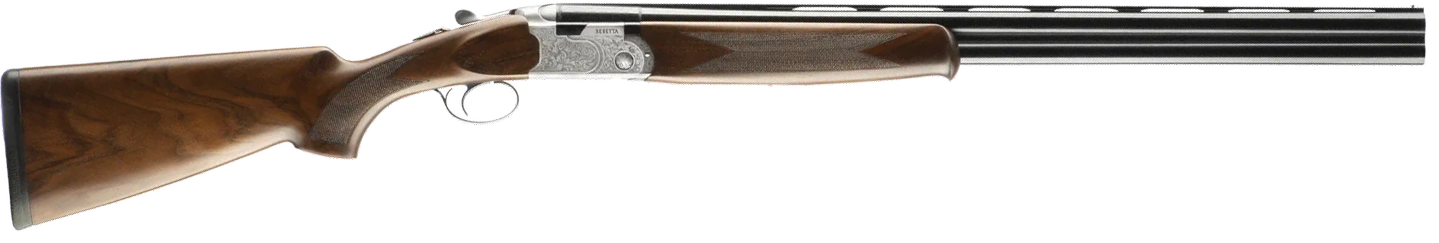 294551873.png