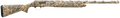 294551875.png