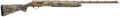 294551881.png