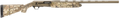 294551899.png