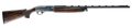 294551901.png