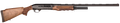 294551910.png