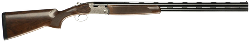 294551922.png