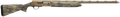 294551924.png