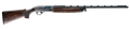 294551956.png