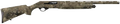 294551965.png
