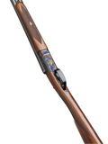 294551981.png