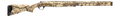 294552008.png