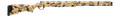 294552016.png