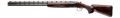 294552019.png