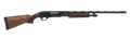 294552021.png