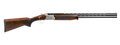 294552024.png