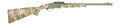 294552070.png