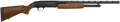 294552125.png