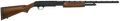 294552127.png