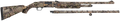 294552150.png