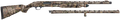 294552165.png