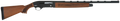 294552171.png
