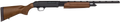 294552187.png