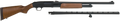 294552195.png